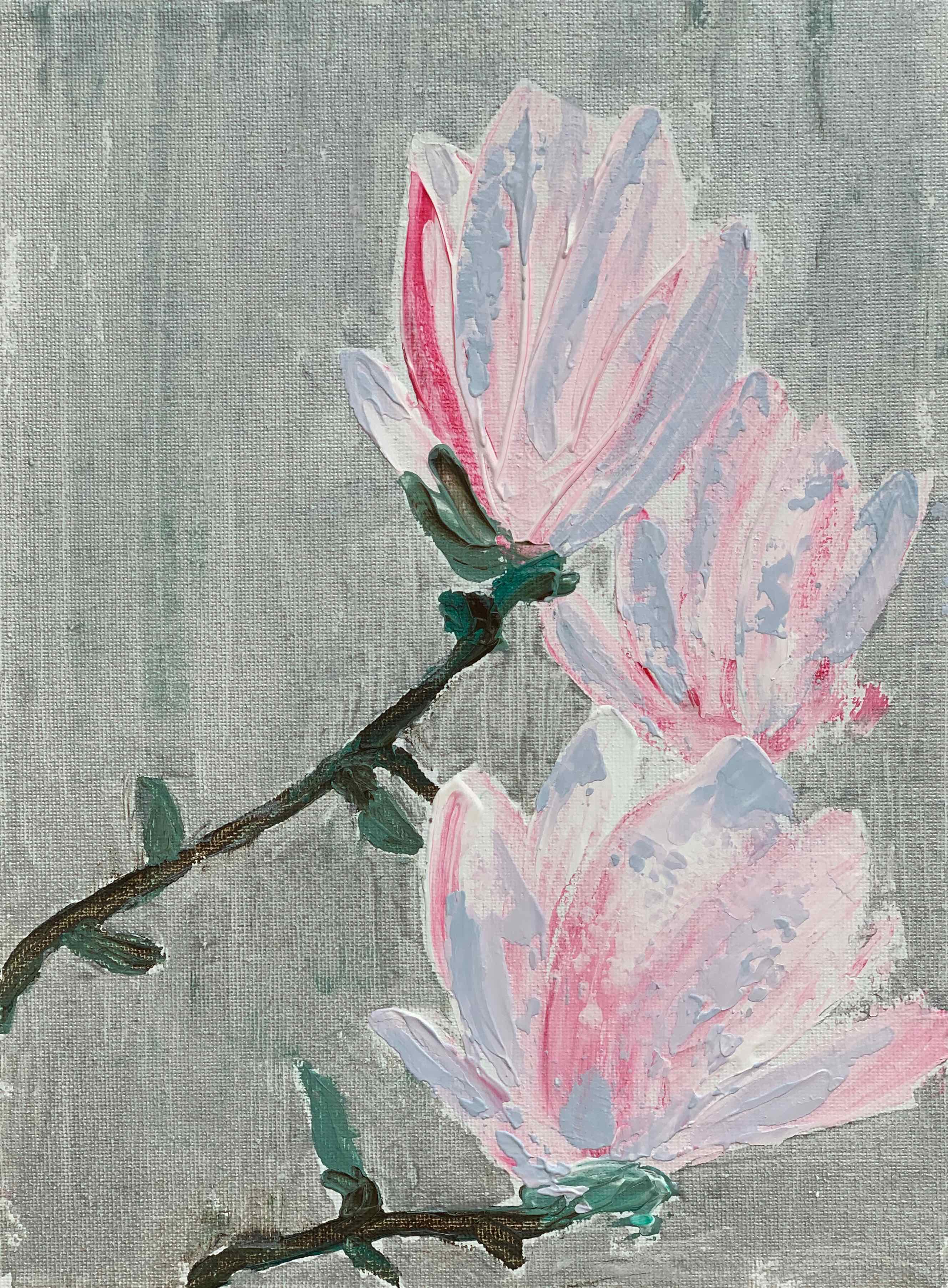 Magnolias budding Pink Profusion — painting by Anirak Edza